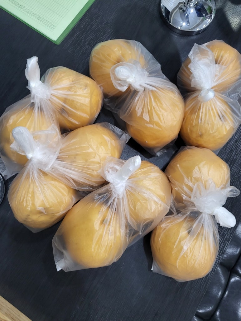 점핑75 이미지