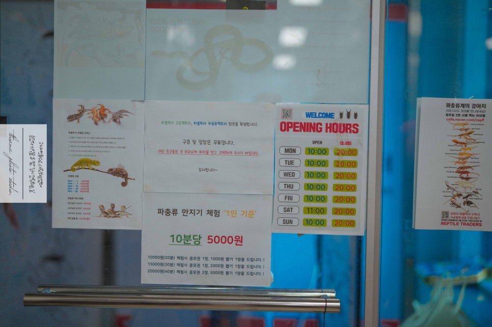 파블박사 이미지