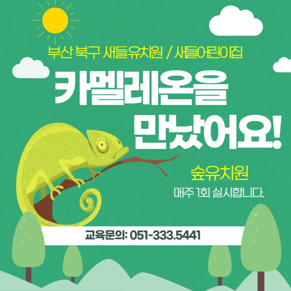 새들유치원 이미지