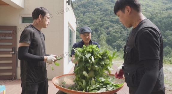 사돈농장 이미지