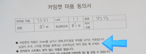 카밍캣 고양이미용 이미지