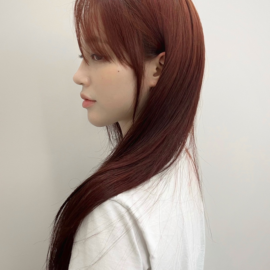 빈에물들다 이미지