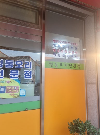 햇살마루청둥오리 이미지