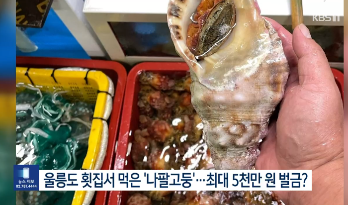 나팔횟집 이미지