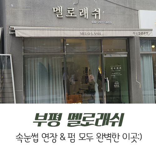 멜로래쉬 이미지