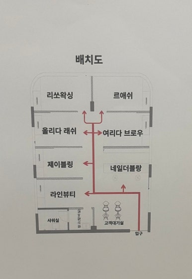 브로우올리 이미지