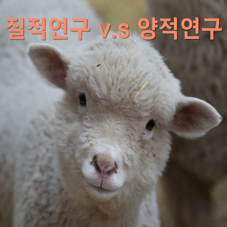 질적연구방법연구소 이미지
