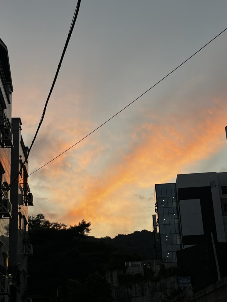 쎼쎼양꼬치 이미지