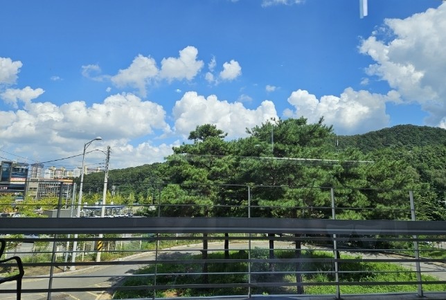 킹콩G.C갤러리 이미지