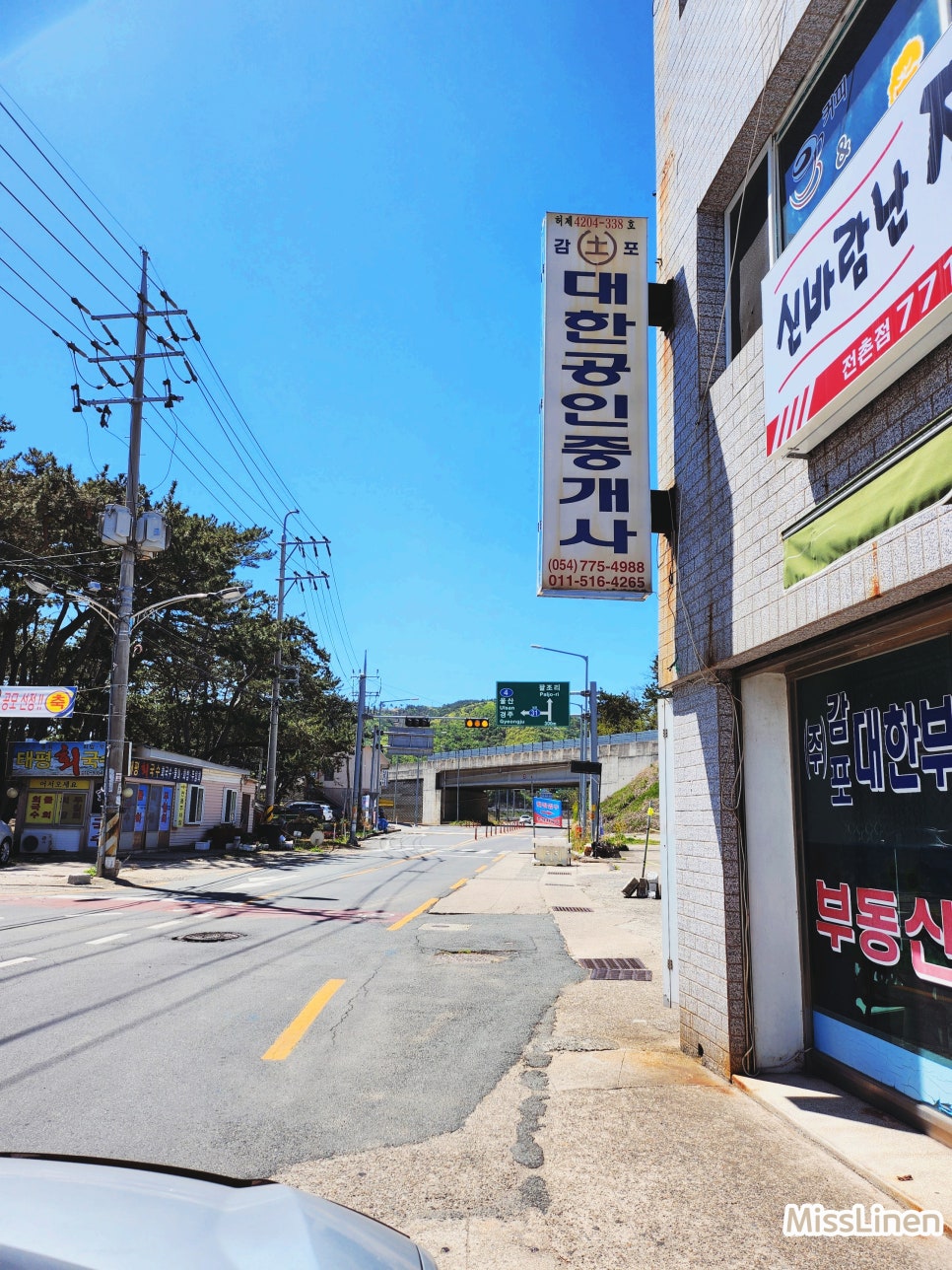 신바람난찐빵집손만두 이미지