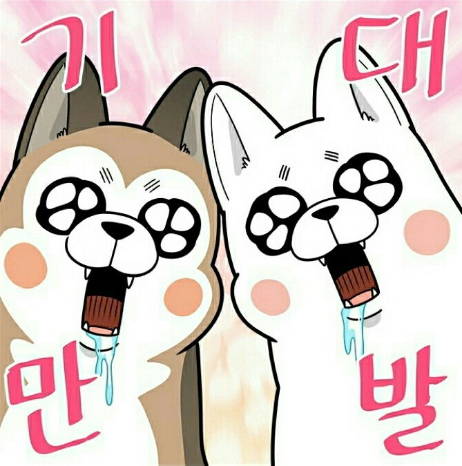 썬플라워하우스 이미지