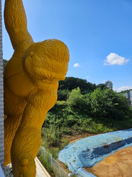 킹콩G.C갤러리 이미지