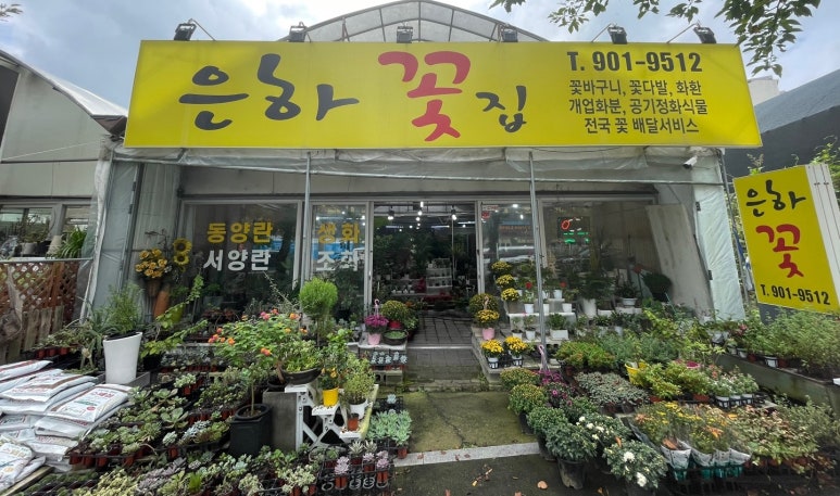 은하꽃집 이미지