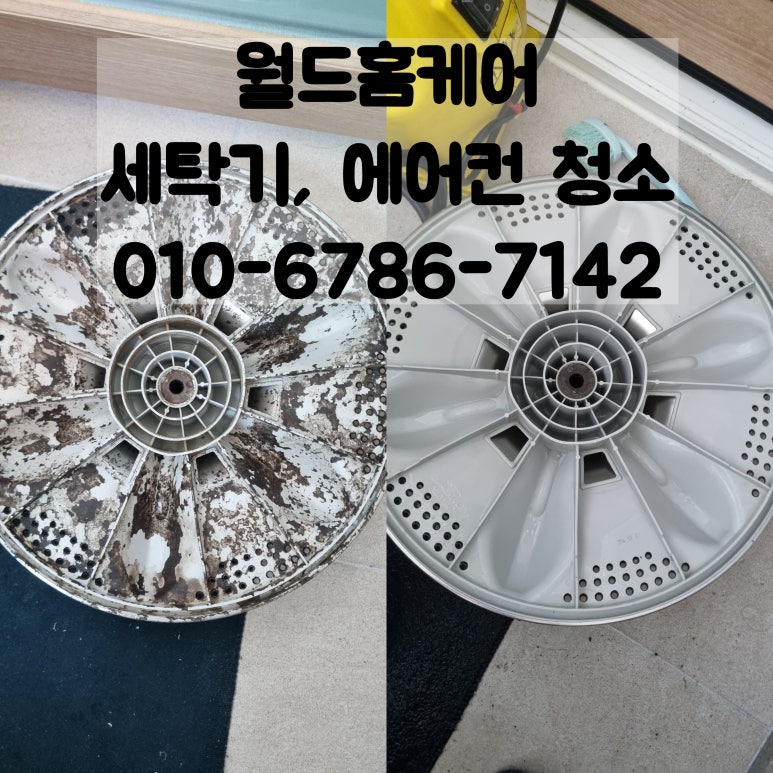 월드홈케어 이미지