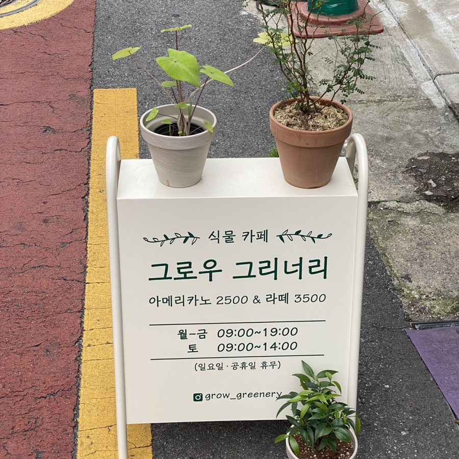 그로우 그리너리 이미지