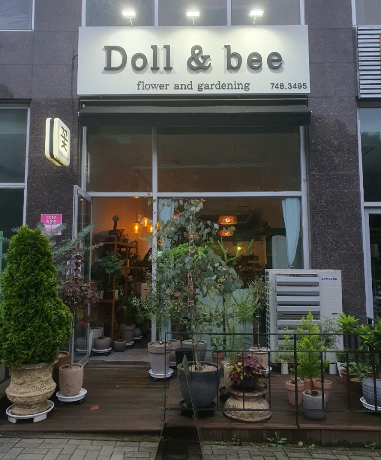 돌앤비 이미지