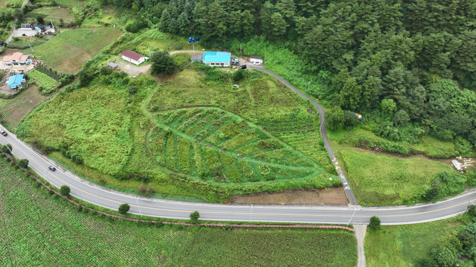 밭멍 이미지