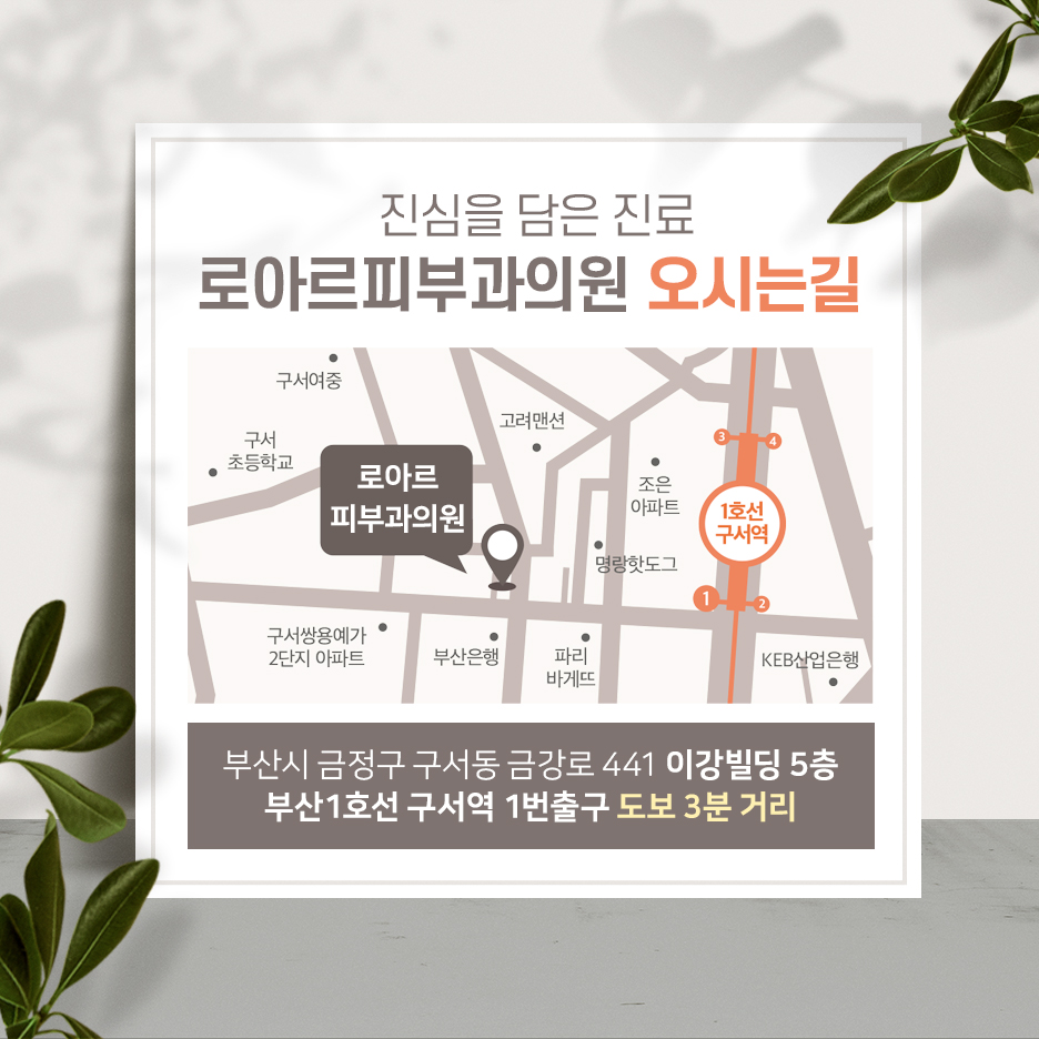 로아르피부과의원 이미지