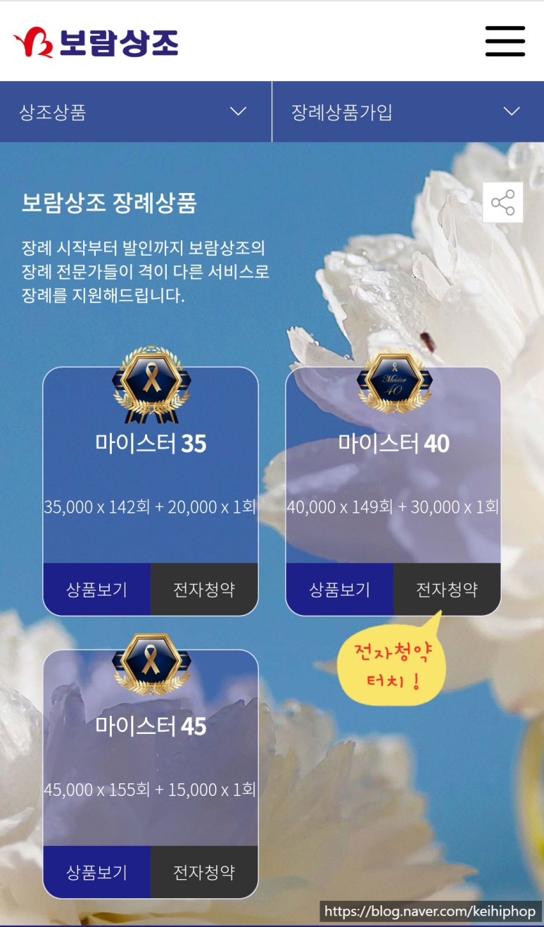 보람모바일 이미지