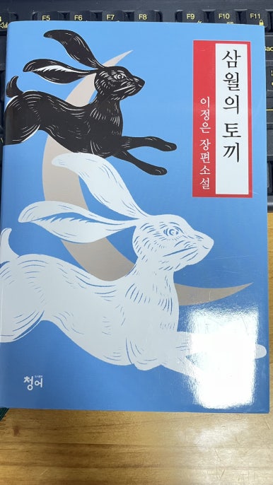 삼월의토끼 이미지