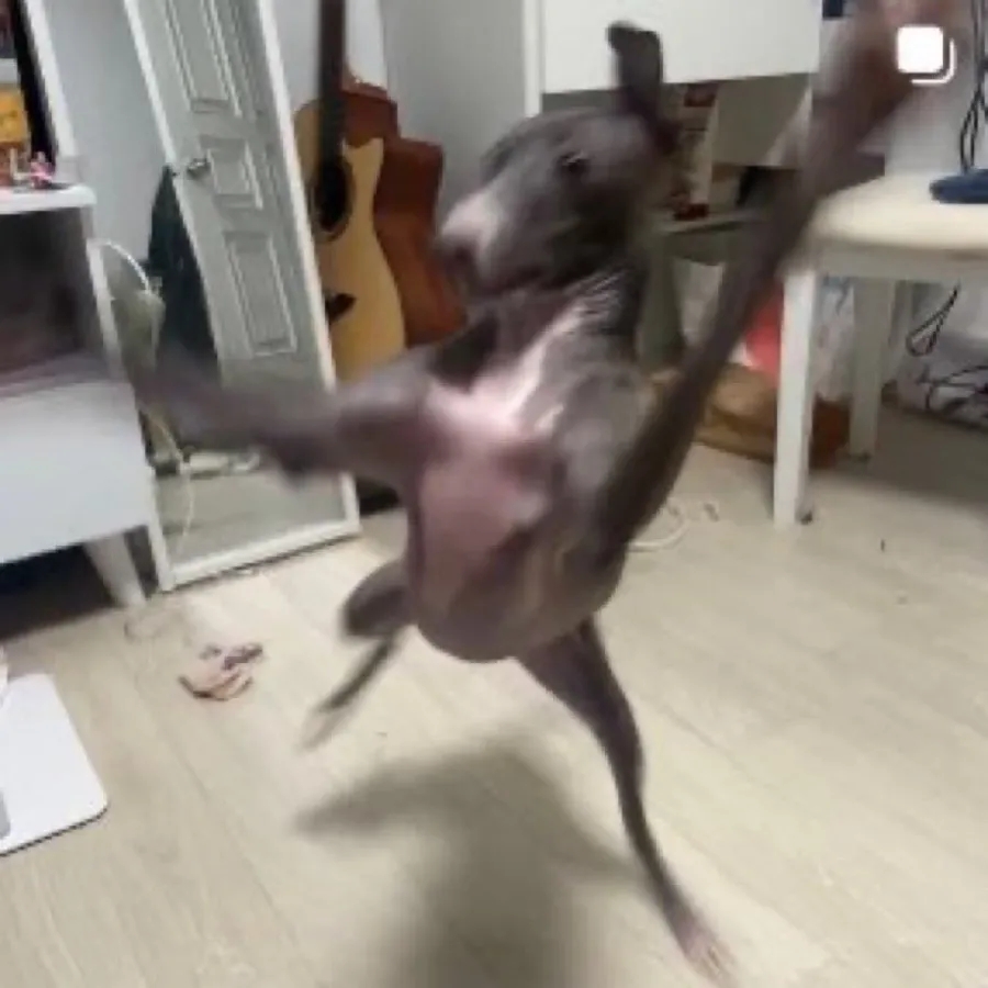 더조은식품 이미지