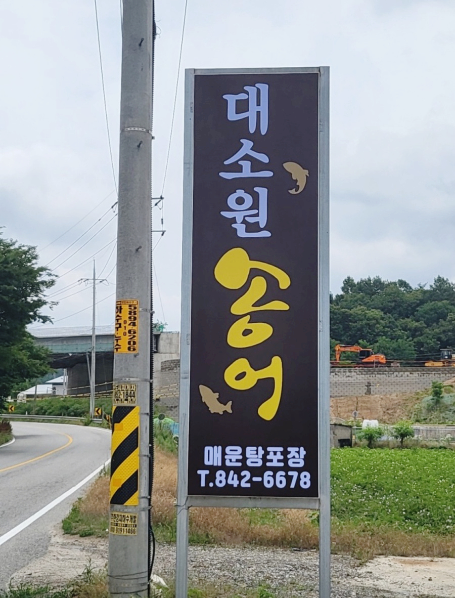 대소원송어 이미지