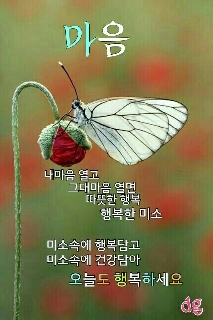 건강한하루 이미지