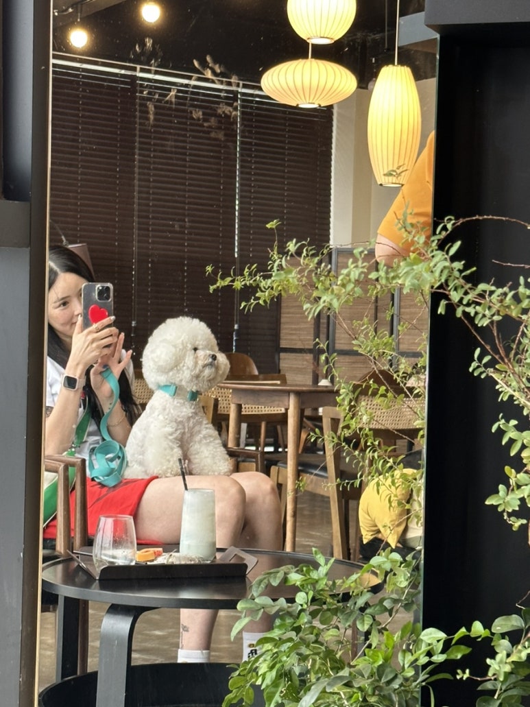 하버무드 이미지