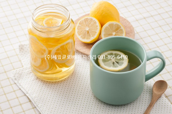 은성유치원 이미지