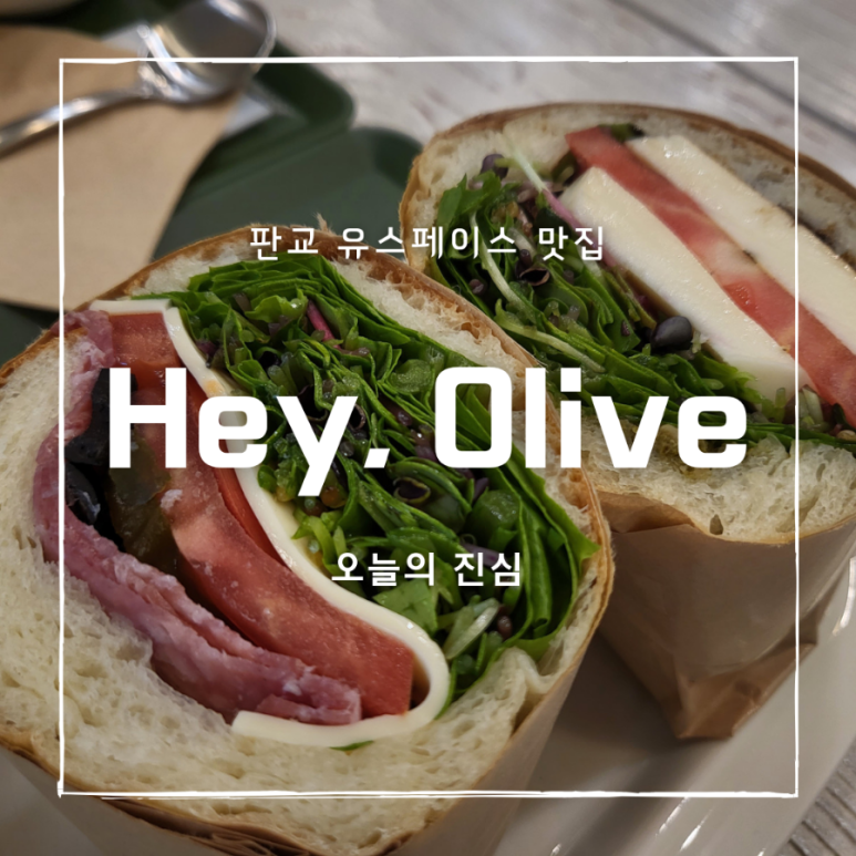 헤이올리브 이미지