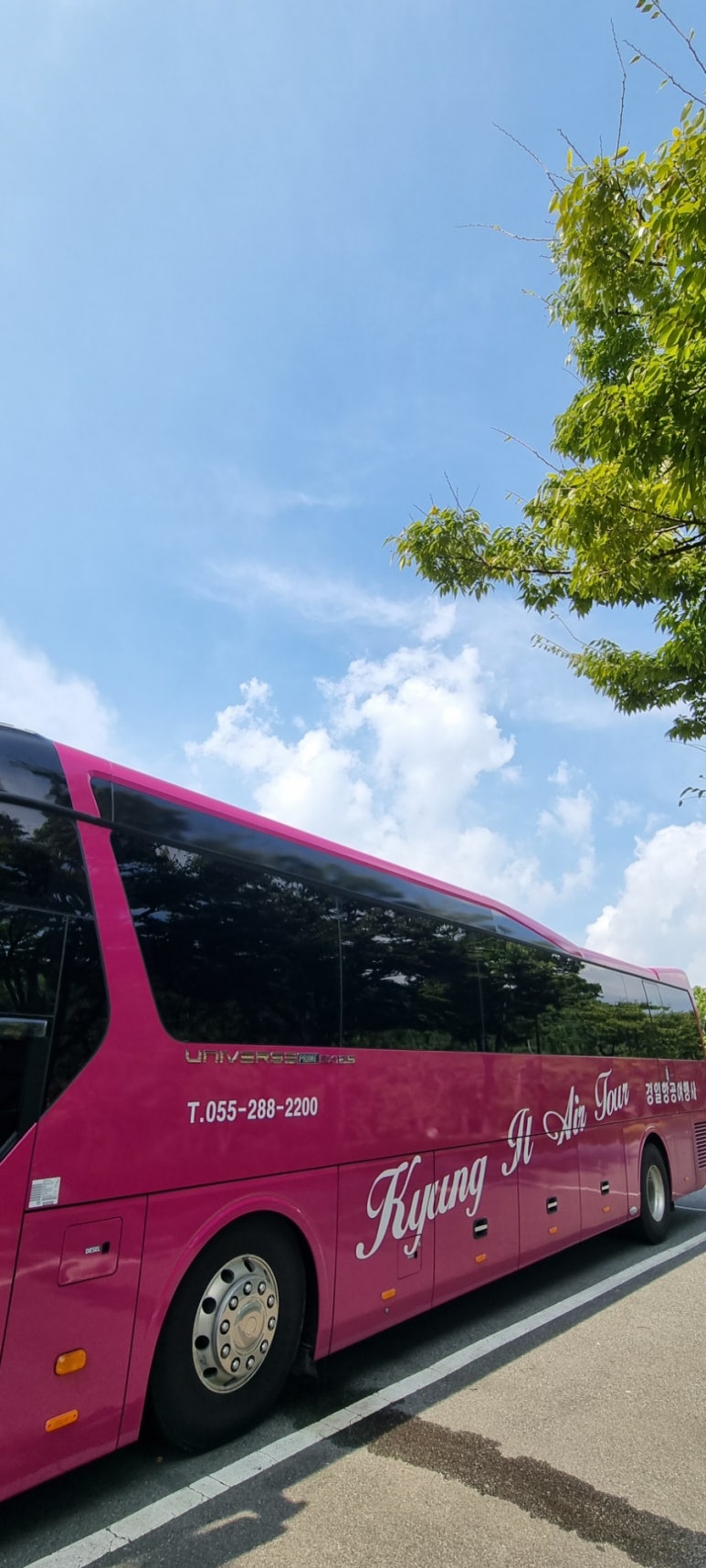 경일항공여행사 이미지
