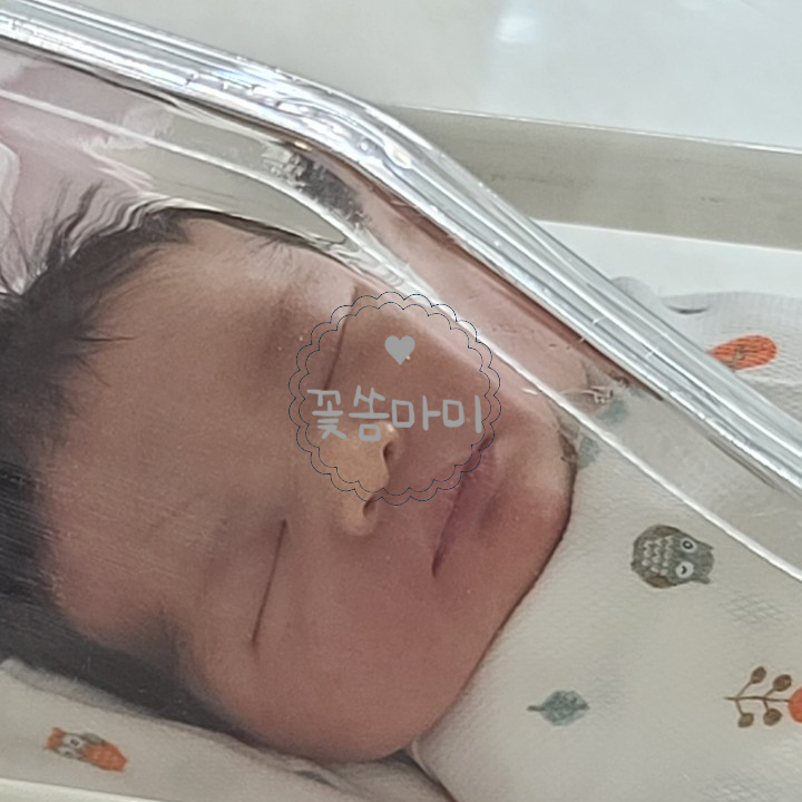 깨끗태진 이미지