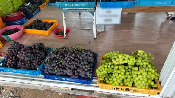 산포도원 이미지