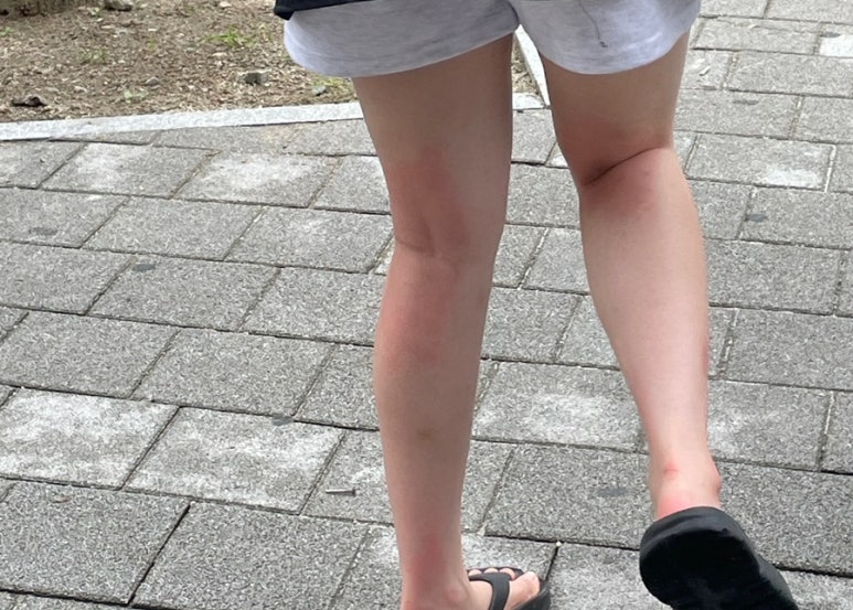응's하우스 이미지