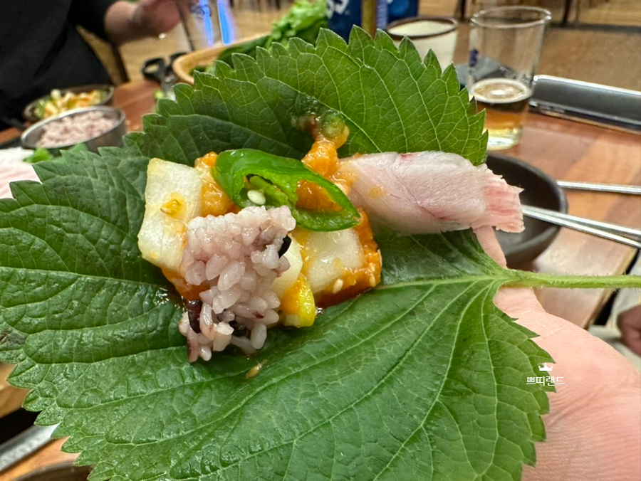둘이스넥 이미지