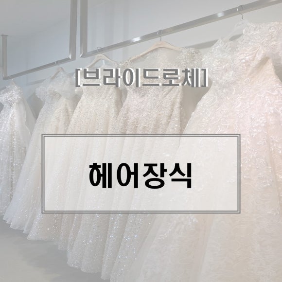 로체헤어 이미지
