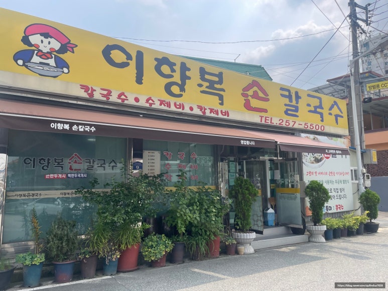 이향복손칼국수 이미지