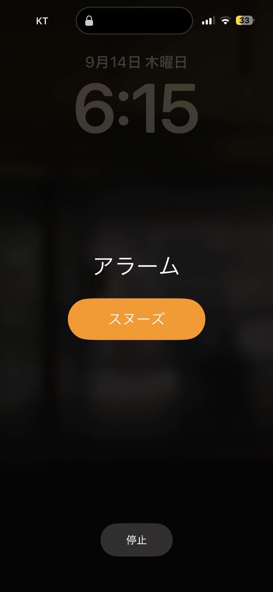 일취 이미지