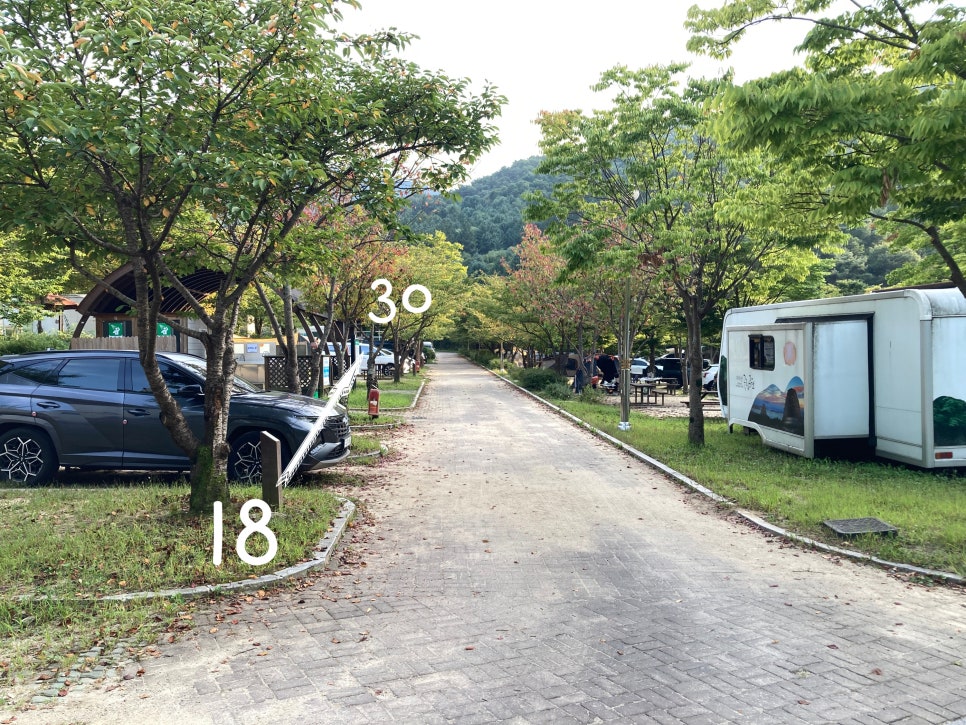 구룡컴퓨터 이미지