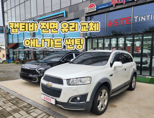 에이사이트썬팅 이미지