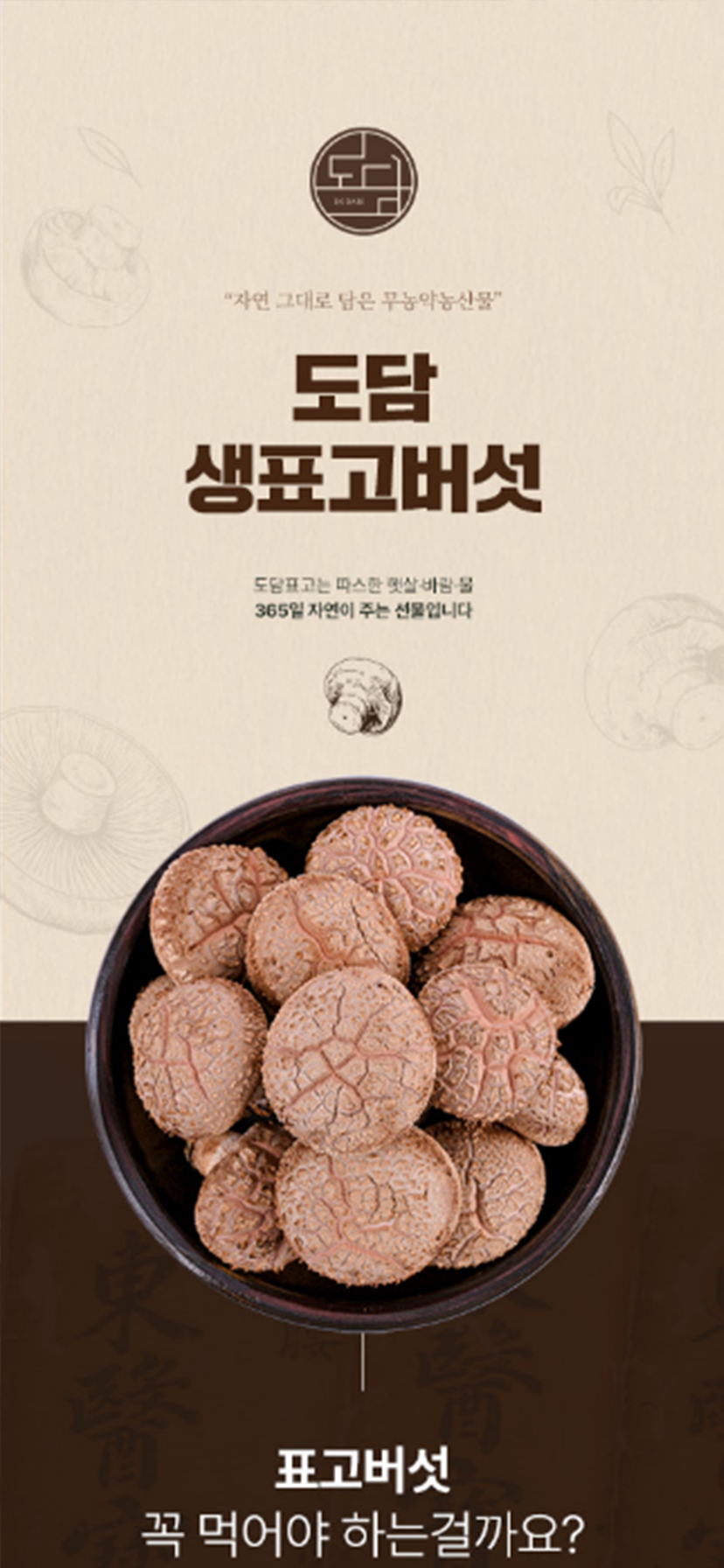 도담디자인기획 이미지