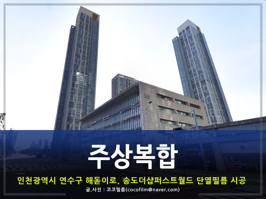 썬가드공식총판코코필름 이미지
