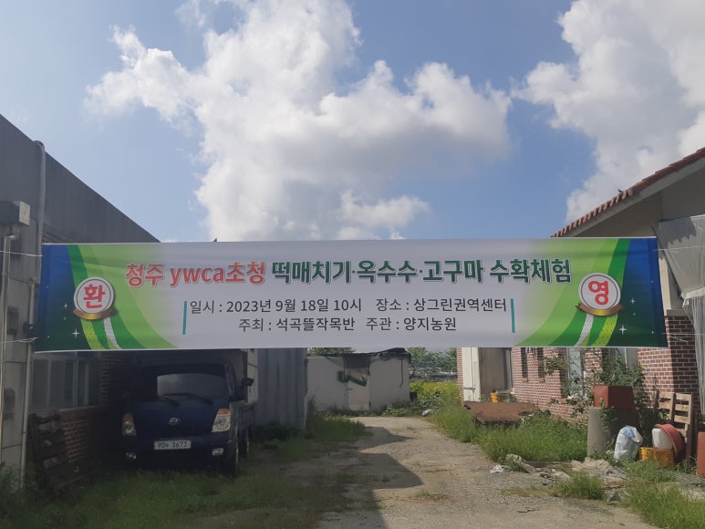 양지농산물 이미지