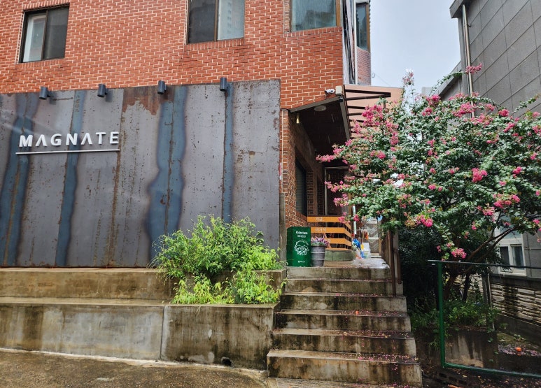 메그네이트비 이미지