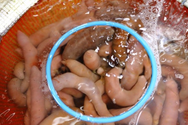 섬수산 이미지