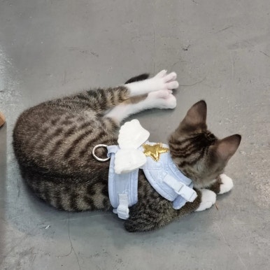 빙달 대학로점 이미지