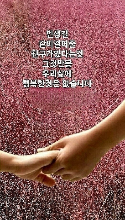 영농조합법인성진 이미지
