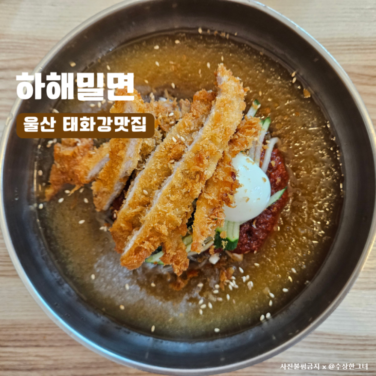태화강밀면 이미지