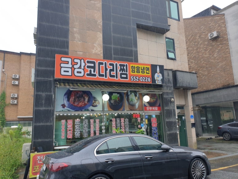 금강코다리 이미지