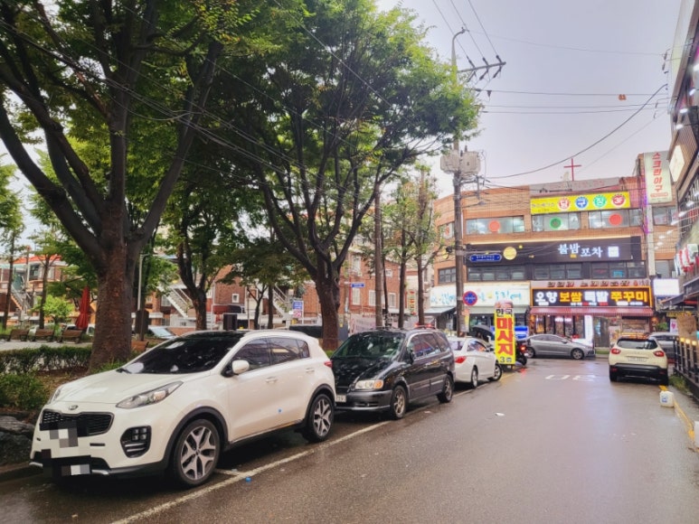 신가바늘산오징어 이미지